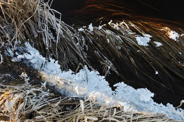 Hielo Transparente Delgado Superficie Del Depósito Con Hierba Seca Burbujas — Foto de Stock