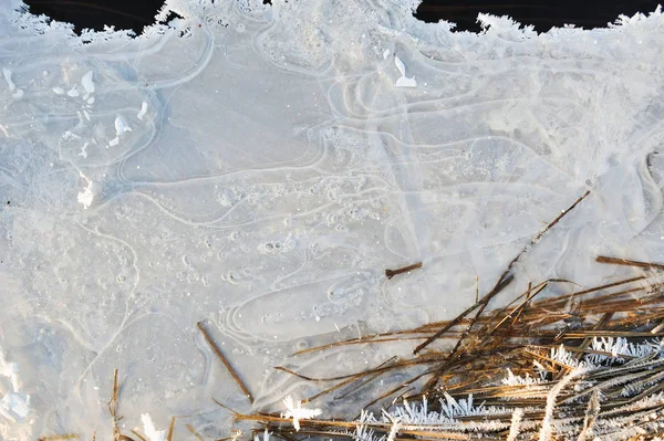 水库表面的薄薄的透明冰 下面有干草和气泡 — 图库照片