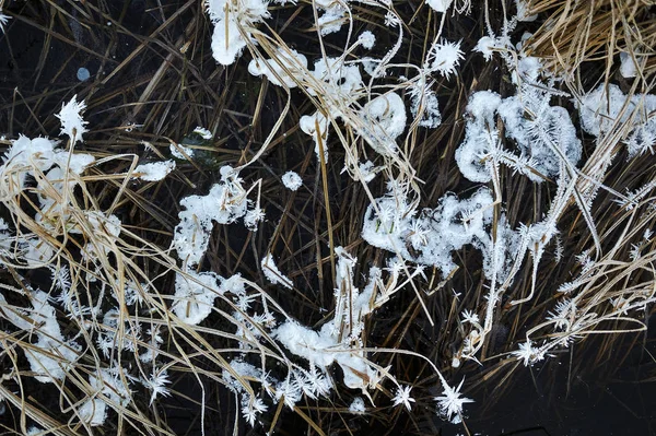 Tenké Průhledné Led Povrchu Nádrže Sušené Trávy Vzduchové Bubliny Pod — Stock fotografie