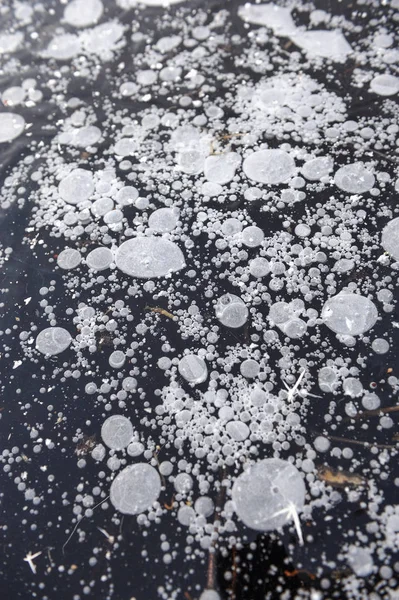 Bolhas Congeladas Água Uma Forma Bizarra — Fotografia de Stock