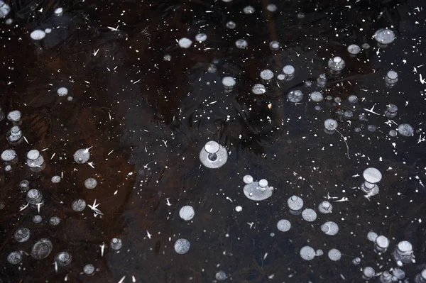 Air Bubbles Frozen Water Bizarre Form — Stock Photo, Image