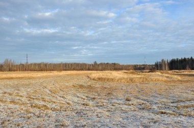 Sabah erkenden ayaz frost keskin soğutma ve yüksek nem nedeniyle çayır çimen kaplı.