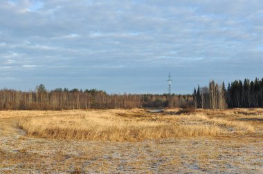 Sabah erkenden ayaz frost keskin soğutma ve yüksek nem nedeniyle çayır çimen kaplı.