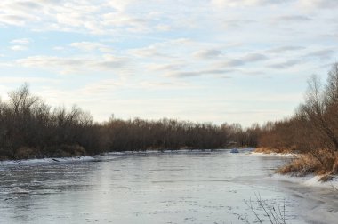 Kış orman gölün kıyısında yakınındaki ormanda nefes
