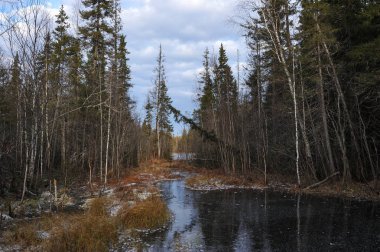 Kış orman gölün kıyısında yakınındaki ormanda nefes