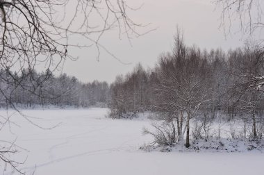 Göl manzarasına karla kaplı
