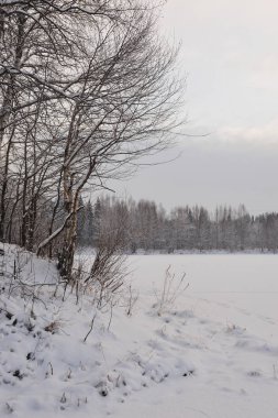 Göl manzarasına karla kaplı