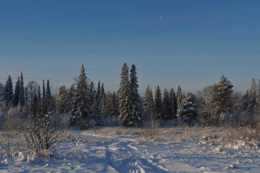 Kış başlangıcı. Bir soğuk gün kar kapaklar ağaçlarıyla kaplı.