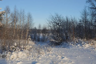 Kış başlangıcı. Bir soğuk gün kar kapaklar ağaçlarıyla kaplı.