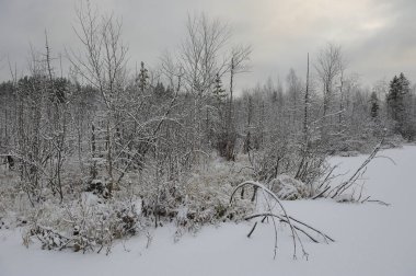Manzara. Gölü bataklık toprak tarafından sonra kar yağışı çevrilidir.