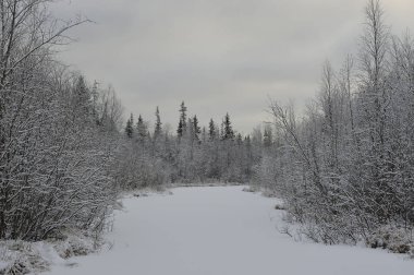 Manzara. Gölü bataklık toprak tarafından sonra kar yağışı çevrilidir.
