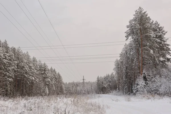 Hochspannungsleitung Wald Einem Der Frostigen Tage — Stockfoto