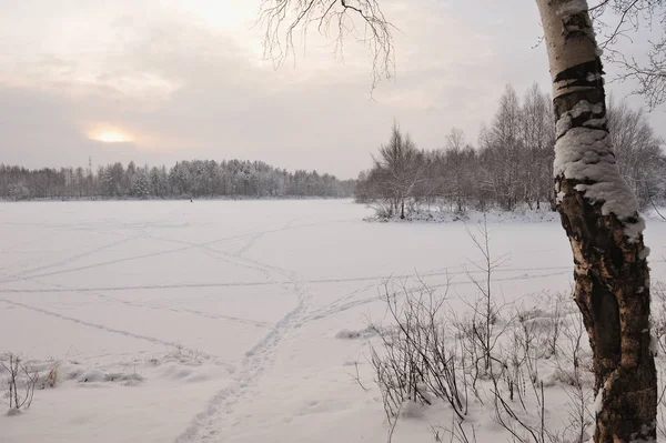 Göl Manzarasına Karla Kaplı — Stok fotoğraf