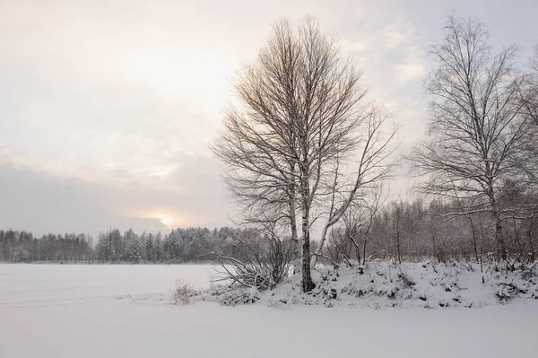 Vista Lago Coberto Neve — Fotografia de Stock