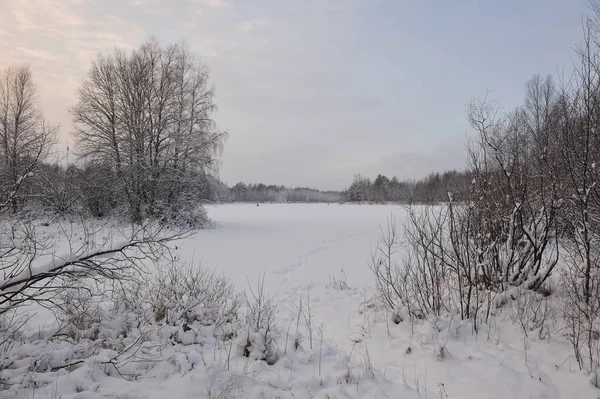 被雪覆盖的湖面景色 — 图库照片