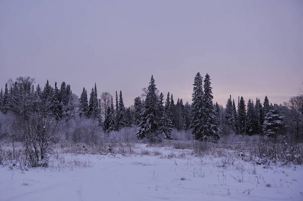 Début Hiver Couvert Calottes Neigeuses Dans Une Des Soirées Glacées — Photo