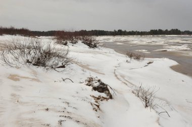 Manzara Vychegda Nehri'nin kıyısında Kasım ayı sonlarında çöl..