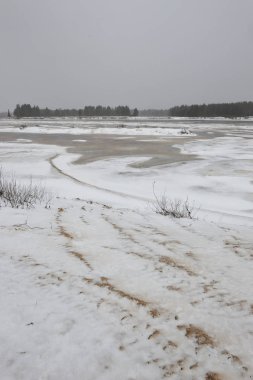Manzara Vychegda Nehri'nin kıyısında Kasım ayı sonlarında çöl..