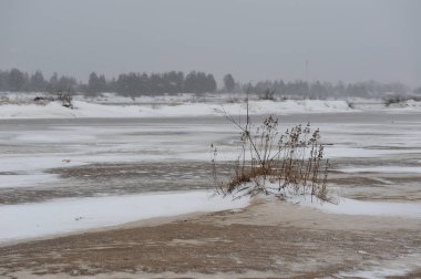 Manzara Vychegda Nehri'nin kıyısında Kasım ayı sonlarında çöl..