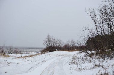 Manzara Vychegda Nehri'nin kıyısında Kasım ayı sonlarında çöl..