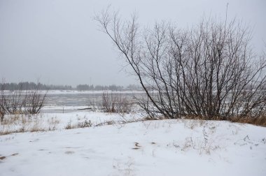 Manzara Vychegda Nehri'nin kıyısında Kasım ayı sonlarında çöl..