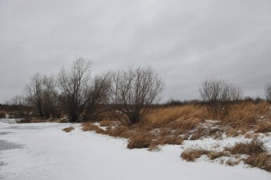 Geç sonbaharda Nehri yakınında alanlardaki.