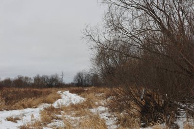 Geç sonbaharda Nehri yakınında alanlardaki.
