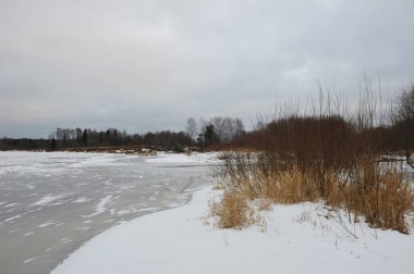 Geç sonbaharda Nehri yakınında alanlardaki.