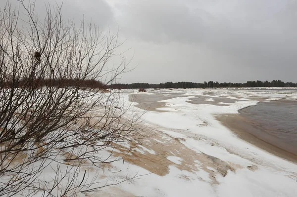 Manzara Vychegda Nehri'nin kıyısında Kasım ayı sonlarında çöl..