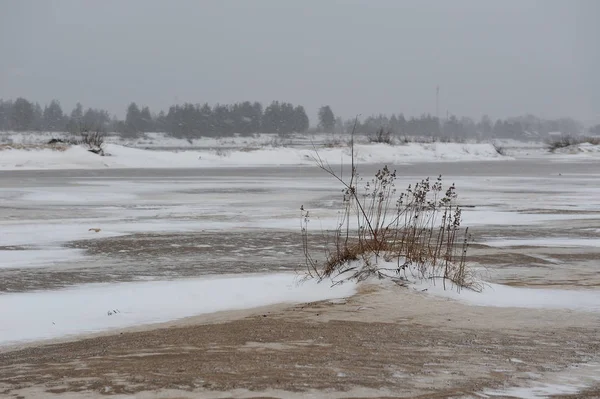 Manzara Vychegda Nehri'nin kıyısında Kasım ayı sonlarında çöl..