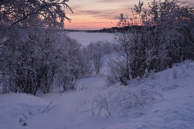 Doğa, kış soğuk akşam güneş battıktan sonra nehir kıyısında. Ağaçlar nem dondan kalın bir tabaka ile. Nehir henüz tamamen donmuş değil.