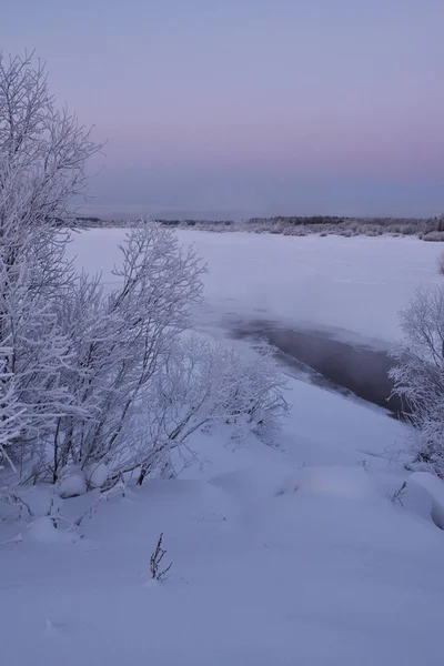 Nature Bord Rivière Hiver Soirée Givrée Après Coucher Soleil Arbres — Photo