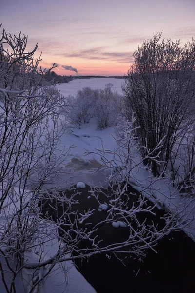 Nature Bord Rivière Hiver Soirée Givrée Après Coucher Soleil Arbres — Photo