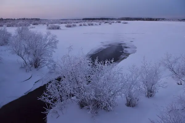Природа Берегу Реки Зимний Морозный Вечер После Заката Деревья Толстым — стоковое фото