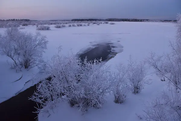 Φύση Στην Όχθη Ποταμού Βράδυ Ψυχρός Χειμώνας Μετά Ηλιοβασίλεμα Δέντρα — Φωτογραφία Αρχείου