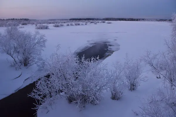 Nature Bord Rivière Hiver Soirée Givrée Après Coucher Soleil Arbres — Photo