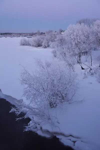 Natura Brzegu Zimowy Mroźny Wieczór Zachodzie Słońca Drzew Grubą Warstwą — Zdjęcie stockowe