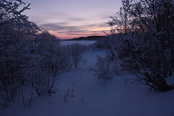 自然在河岸在冬季寒冷的傍晚在日落后 有一层厚厚的水分霜冻的树 这条河还没有完全结冰 — 图库照片