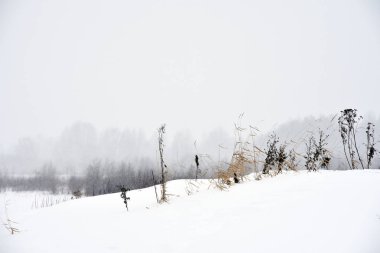 Kışın kar fırtınası sırasında alan çim.