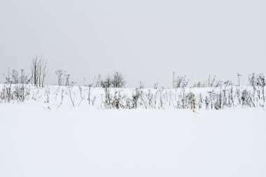 Kışın kar fırtınası sırasında alan çim.