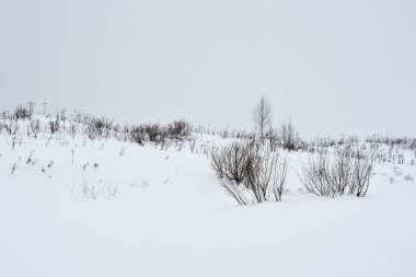 Kışın kar fırtınası sırasında alan çim.