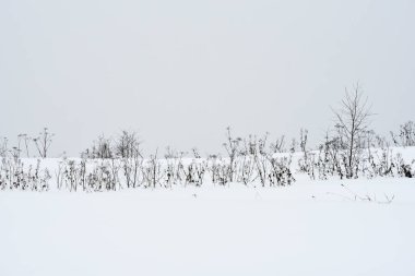 Kışın kar fırtınası sırasında alan çim.