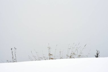Kışın kar fırtınası sırasında alan çim.