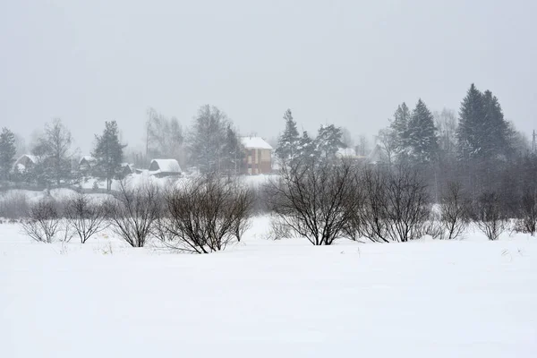 Árboles Campo Invierno Durante Una Ventisca —  Fotos de Stock