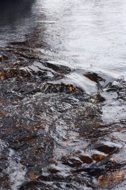 Azgın bir akışı hızlı bir dere içinde su.