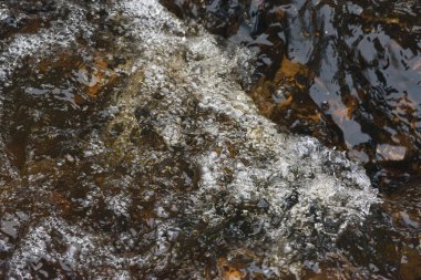 Azgın bir akışı hızlı bir dere içinde su.