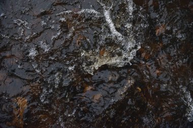 Azgın bir akışı hızlı bir dere içinde su.