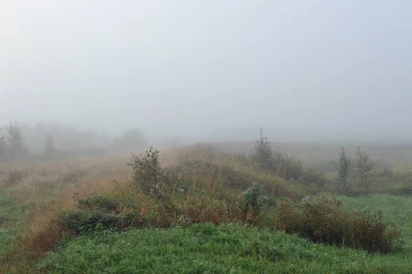 Frühherbstmorgen Dichter Nebel Hüllt Die Idyllische Landschaft Ein Feldgräser Sind — Stockfoto