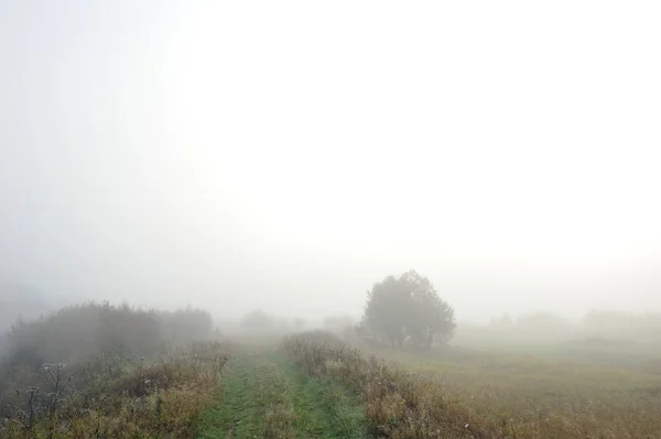 Frühherbstmorgen Dichter Nebel Hüllt Die Idyllische Landschaft Ein Und Löscht — Stockfoto