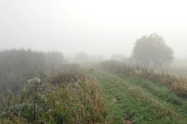 Frühherbstmorgen Dichter Nebel Hüllt Die Idyllische Landschaft Ein Und Löscht — Stockfoto